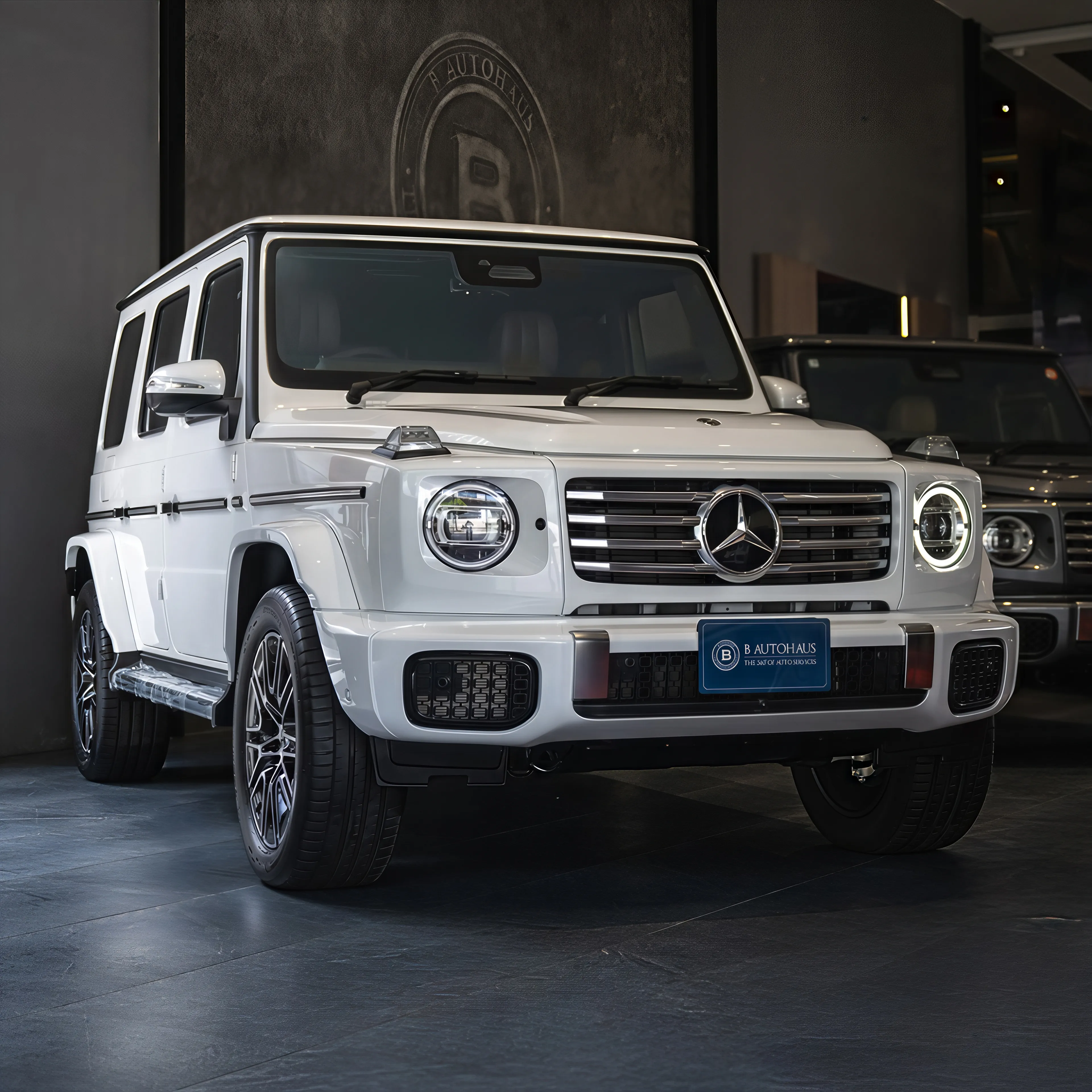 Mercedes-Benz G 450 d